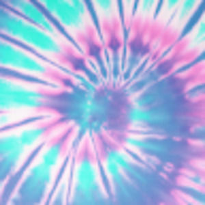 Meet your Posher, Callie